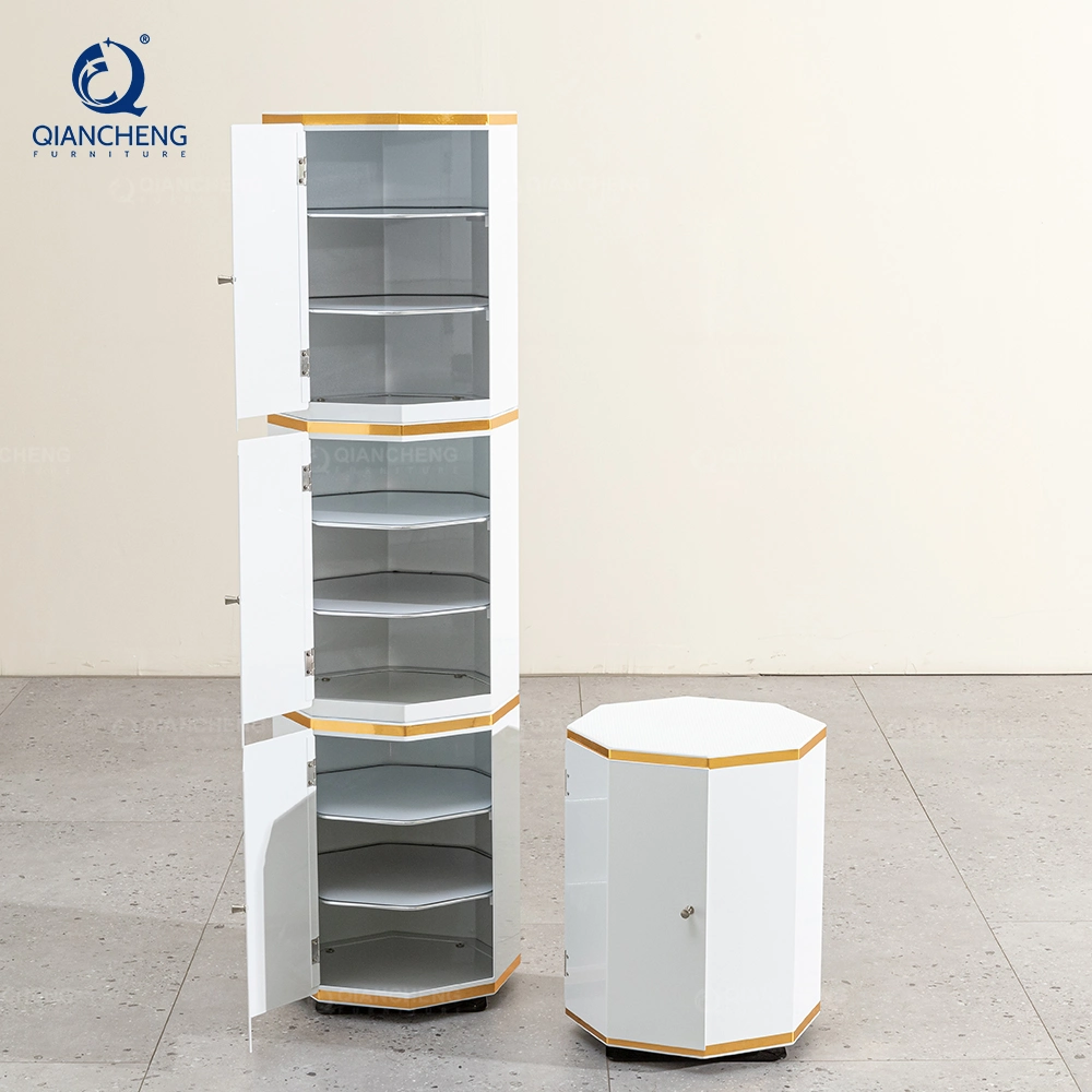 Factory Hot Sale Elegent White Shoe Storage Organizer Combination Cabinet