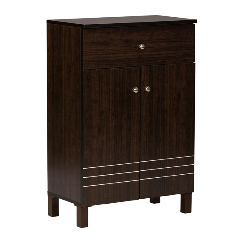 Dark Brown Modern Indoor with Doors and Drawers Shoe Cabinet 0241