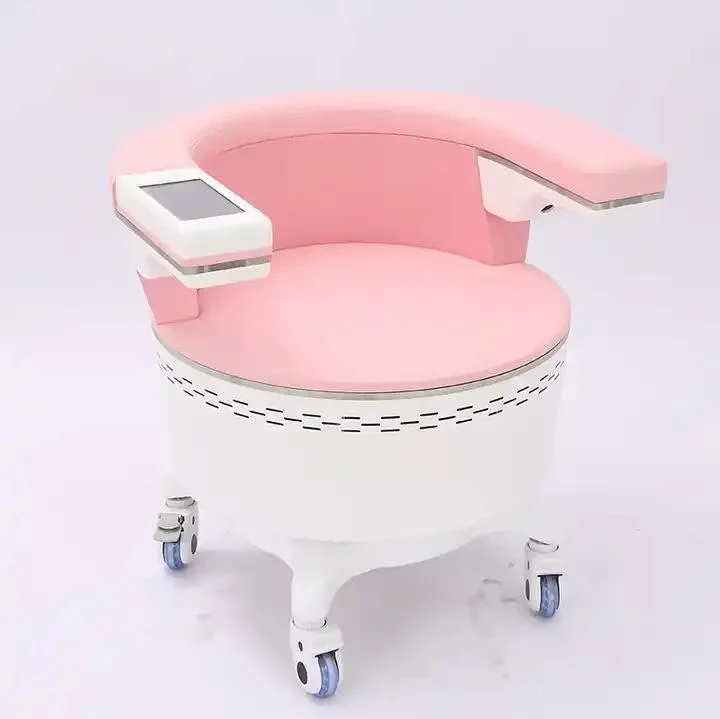 Postpartum Repair, Physiotherapy Electromagnetic Bladder Pelvic Muscle Pelvic Floor Exercise Muscle Chair