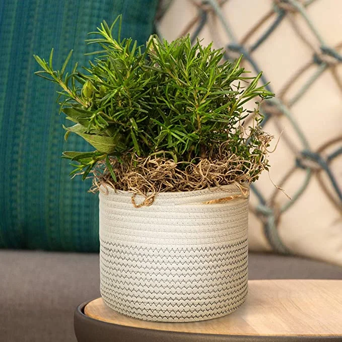 Collapsiable Cotton Rope Woven Storage Basket with Hidden Handle for Plant in Livingroom