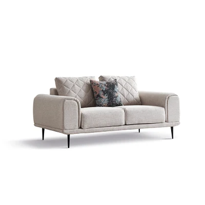 Estilo nórdico Zhida Metal pierna 2 asientos Sofá tejido Velvet Un amor