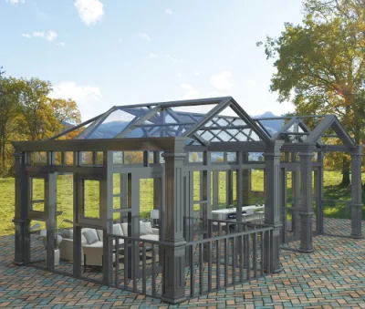  Puerta de aluminio de Sun solarium al aire libre Sala de espacio para la casa Jardín Spa al aire libre gimnasio en casa oficina en casa de China buena calidad con casos de éxito del proyecto del Reino Unido