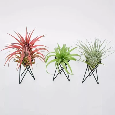 Creative Negro Hierro Aire Piña planta base Flower Pot Rack Soporte Casa Balcón decoración Jardín suministros Accesorios paisaje