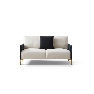 Estilo nórdico Zhida Metal pierna 2 asientos Sofá tejido Velvet Un amor