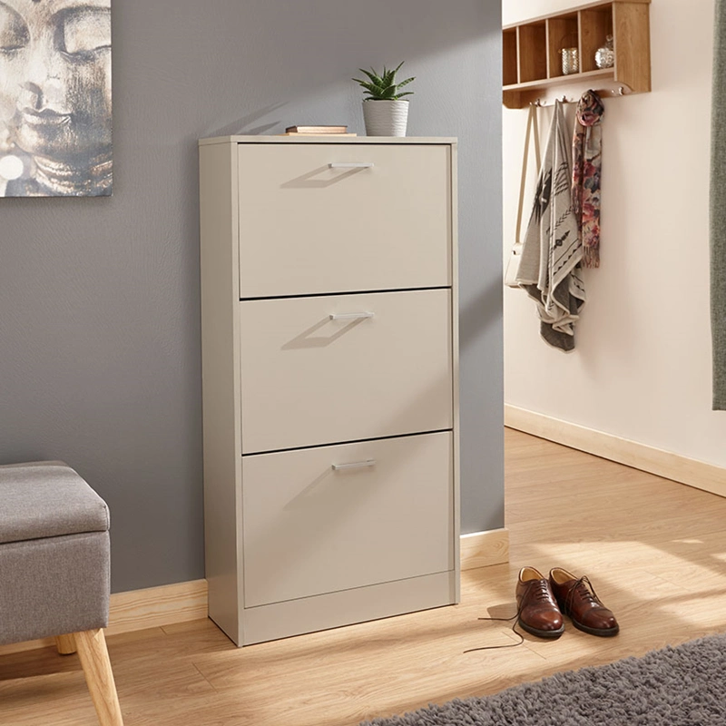 Stylish and Simple Three-Layer Storage Shoe Cabinet 0441