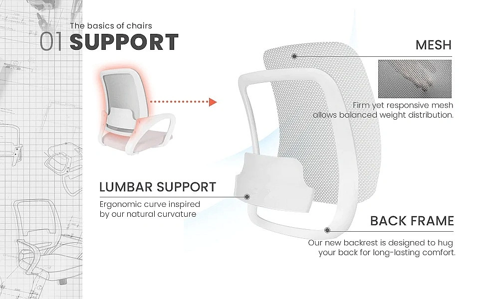 Office Furniture Ergo Computer Office Swivel Chair with White Body