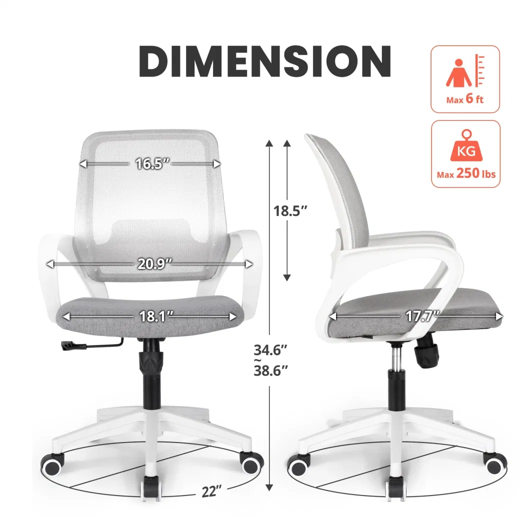 Office Furniture Ergo Computer Office Swivel Chair with White Body