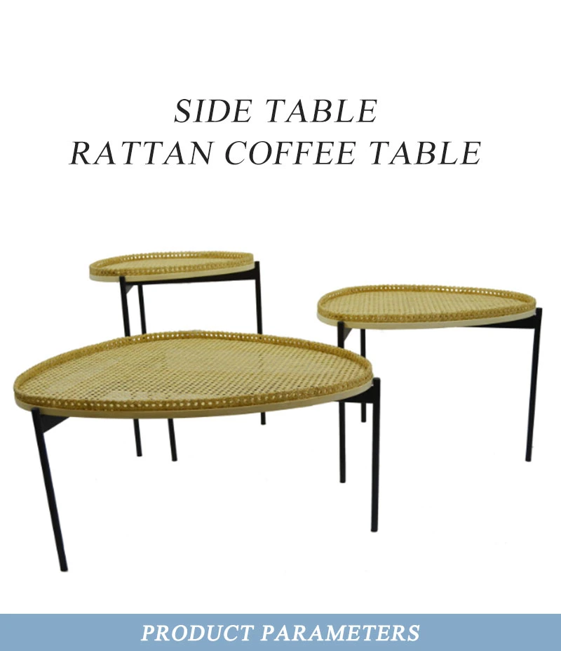 Modern Living Room Garden Rattan Coffee Table Solid Wood Round Coffee Table Designer Side Table