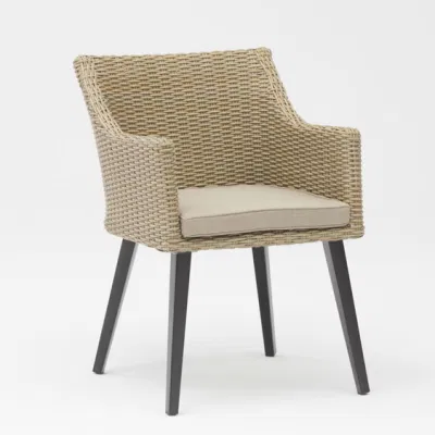  Popolare Design Giardino esterno Rattan mano Weaven Giardino braccio da pranzo Sedia