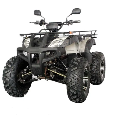 Beach Buggy Electric ATV Quad 3000 W 72 V New Energy veicolo Sedile grande