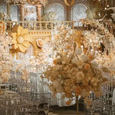  Resina acrilica plastica KD Design Crystal Phoenix Event Wedding Chiavari Sedia