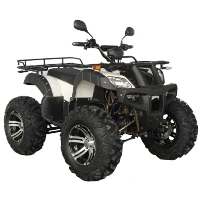 Beach Buggy Electric ATV Quad 3000 W 72 V New Energy veicolo Sedile grande