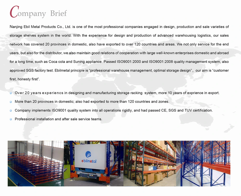 Ebil-Warehouse Control System Industry and Logistic Heavy Duty Automatic Radio Shuttle Rack