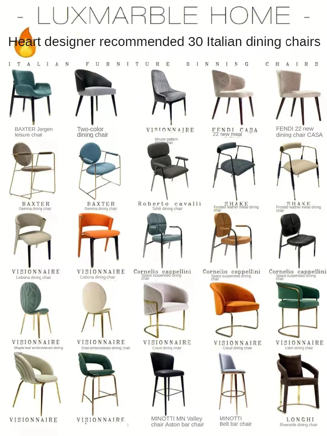 Brand New Italian Modern Design Metal Dining Chair with Armrests