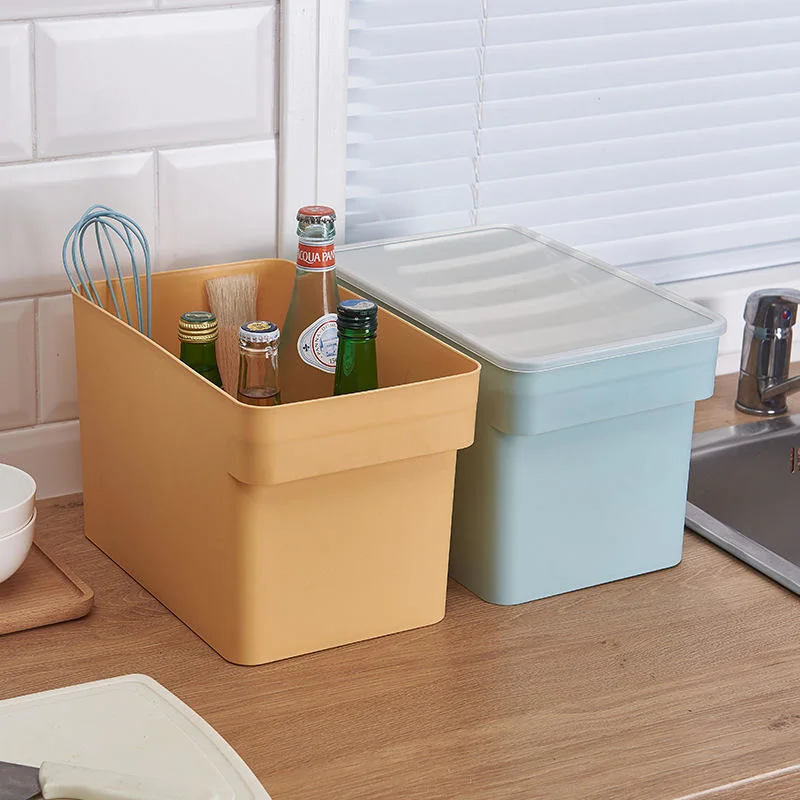 Plastic Organizer Containers Storage Box with Lids