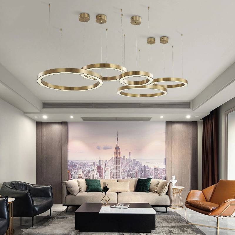 Nordic Minimalist Ring Circle Ceiling LED Chandelier Round Indoor Hanging Droplight Lighting Fixture for Living Dining Bedroom