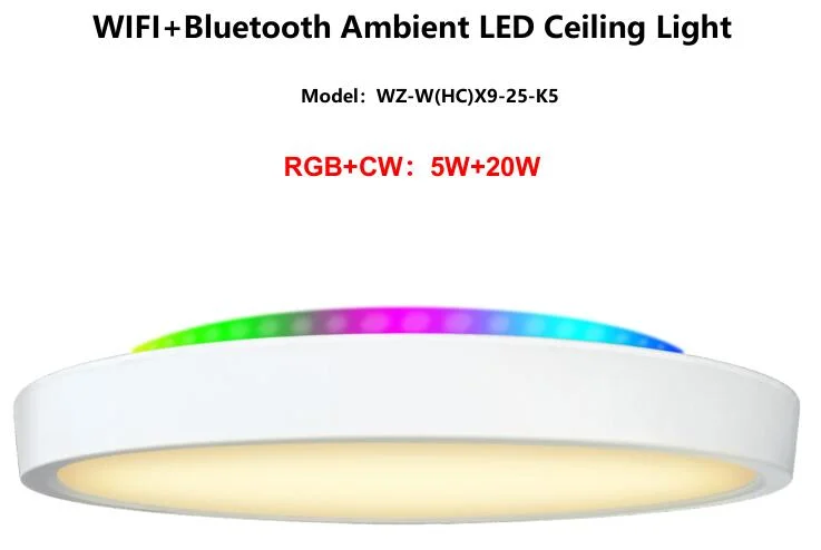 LED Flush Mount Ceiling Light with Back Ambient Light