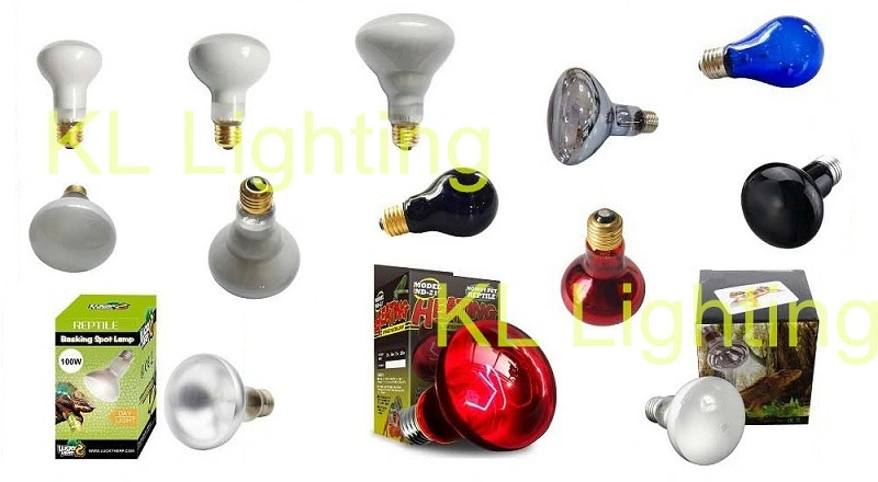 Daylight Basking Spot Heating Bulb for Reptiles R63/R20