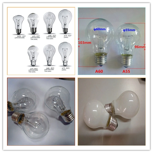 A55 Globe Lighting Clear Frosted Glass Incandescent Light Bulbs