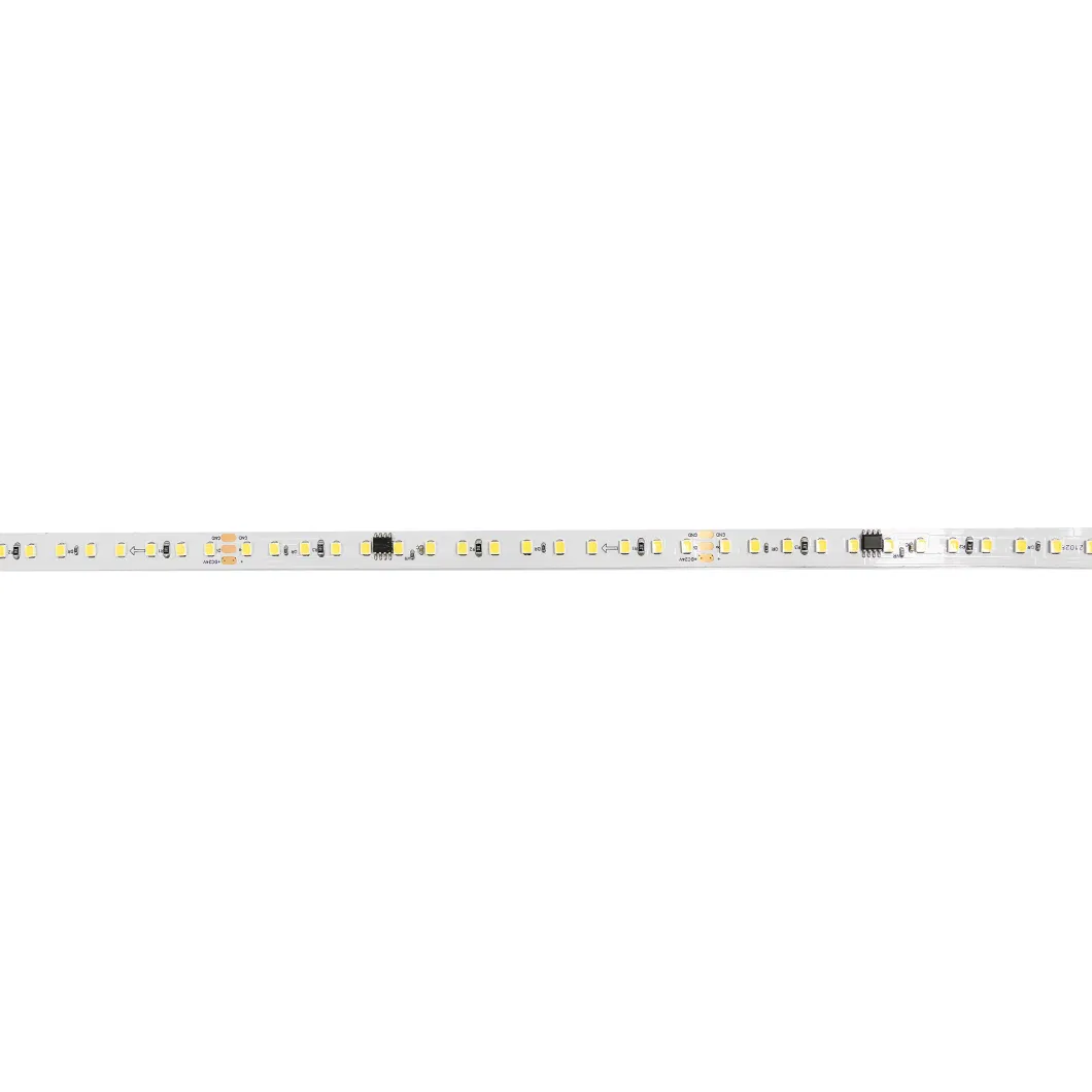 2022 New No Voltage Drop Project Flexible LED Strips 12V/24V LED Strips Lighting