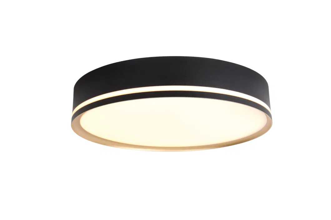 Masivel Lighting Indoor Modern LED Ceiling Light Modern Stylist LED Home Lighting