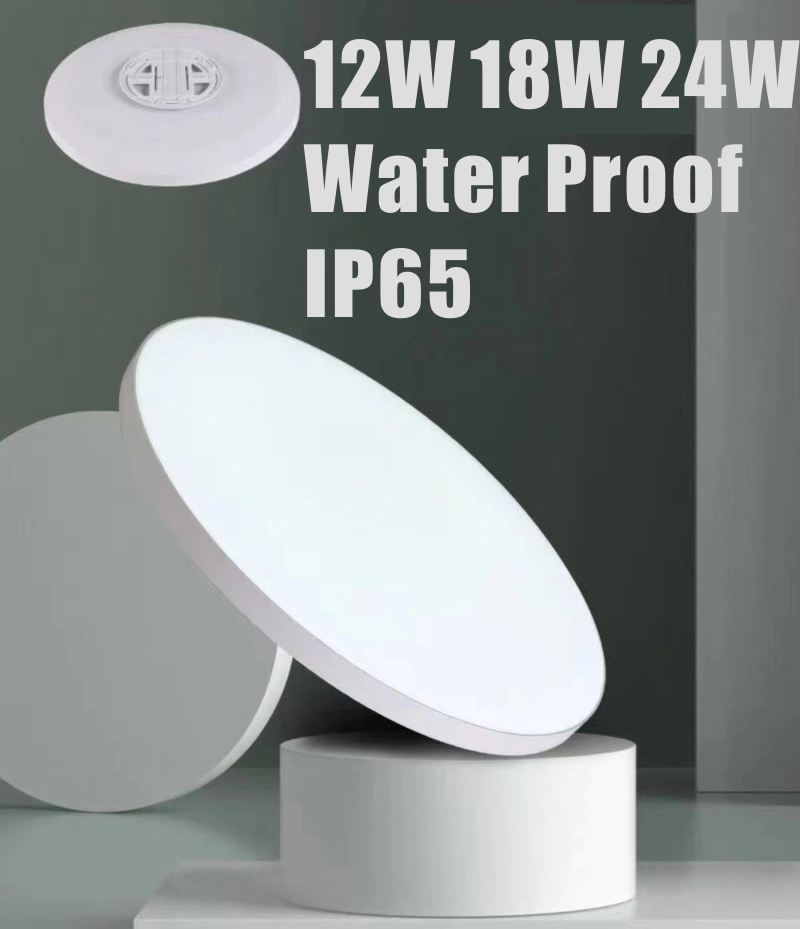 IP65 18W 36W Moisture Proof Moonlight Lamp Manufactured Emergency Smart LED Bedroom Flush Mount Ceiling Light