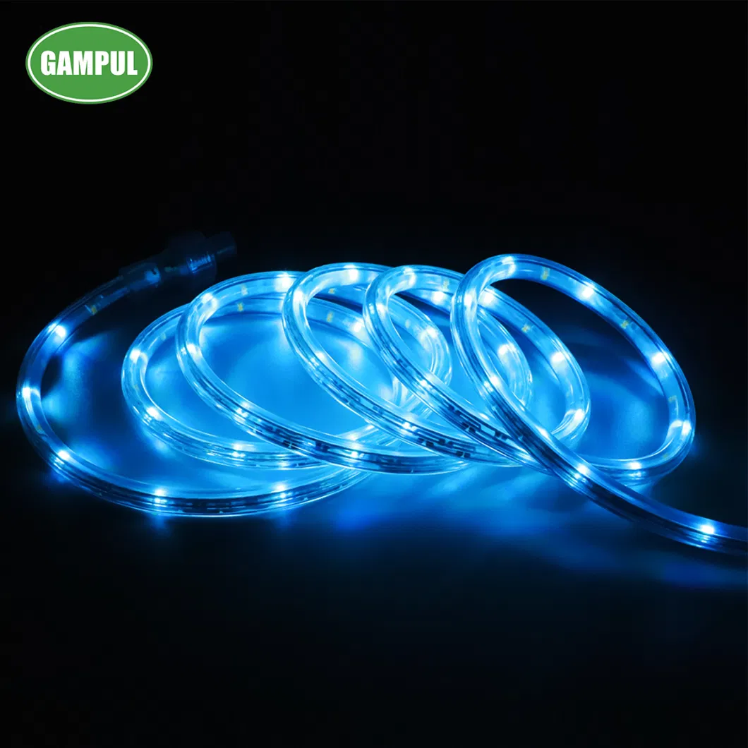 China Manufacturer 24 FT. Indoor or Outdoor LED RGB Accent Lighting Rope Light / LED Christmas Decoration Lighting