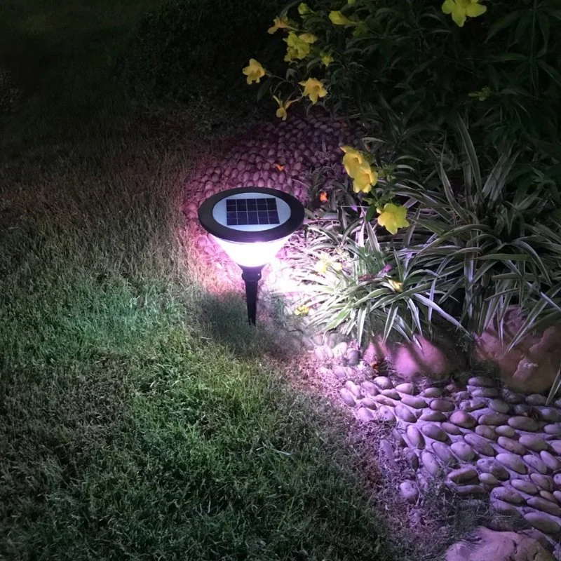 Waterproof IP65 Outdoor Lighting Economical Hot Sale Solar LED Solar Lawn Lighting