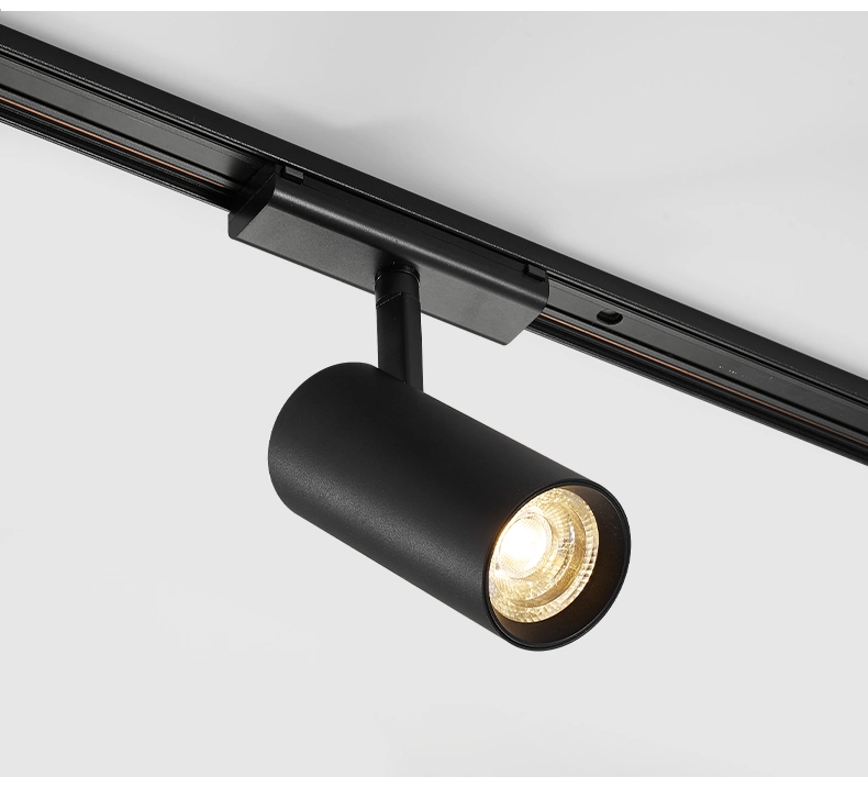 Dimmable Magnetic Rail Track Fixtures Lighting for Residential and Retail Accent Illumination