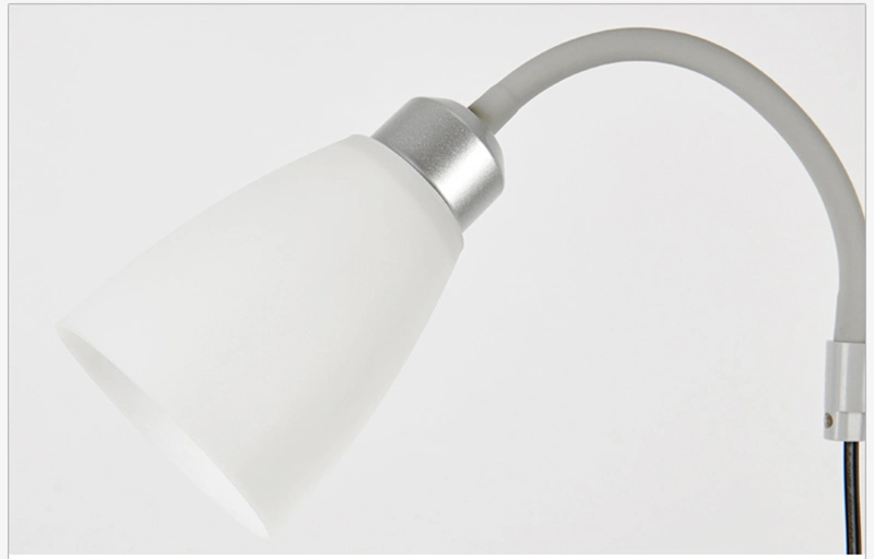 American Modern Wrought Iron Paint Floor Lamp LED Branch Bedroom Lamp Living Room Lighting (WH-MFL-25)