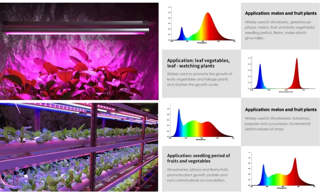 Horticulture Lighting for Commercial Growers 4FT LED Grow Lights