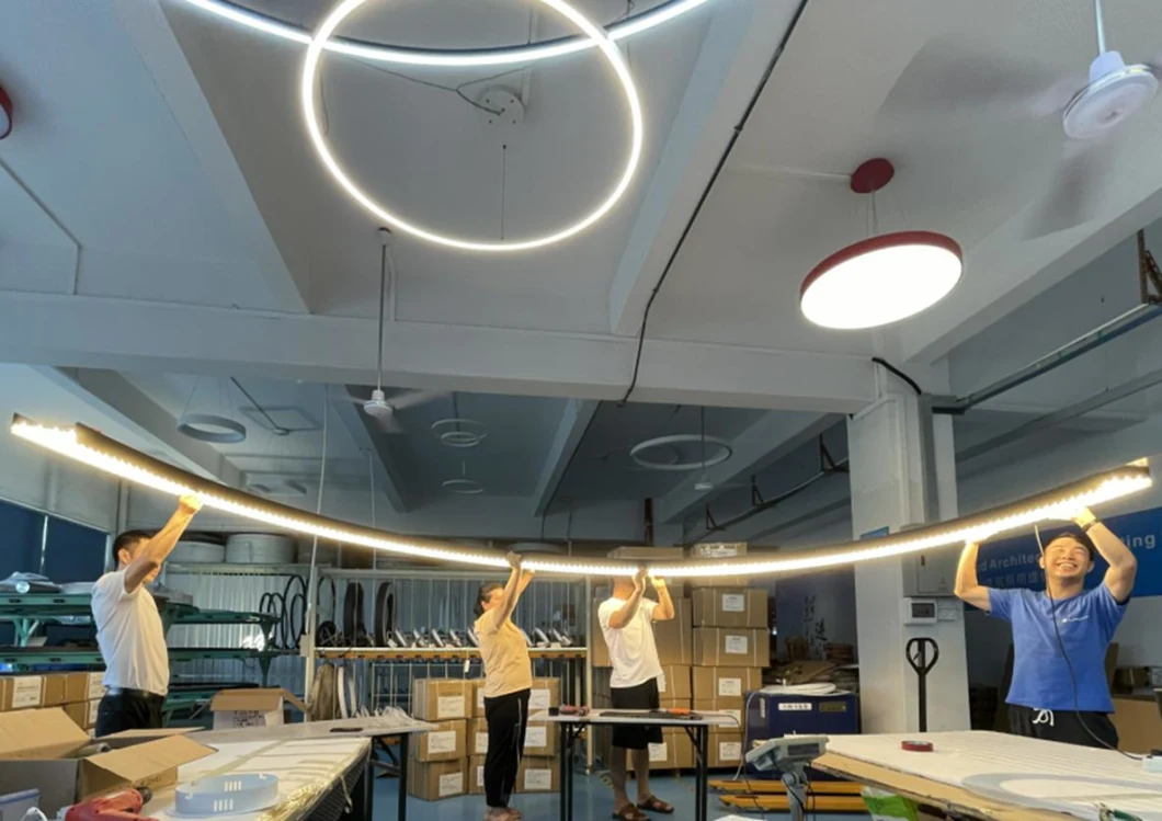 360 Degree Ceiling Circline Light Fixtrues LED Pendant Light
