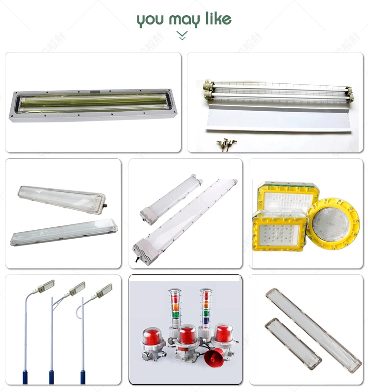 Atex LED Explosion Proof Tube Linear Light Light IP66 Fluorescent Lighting