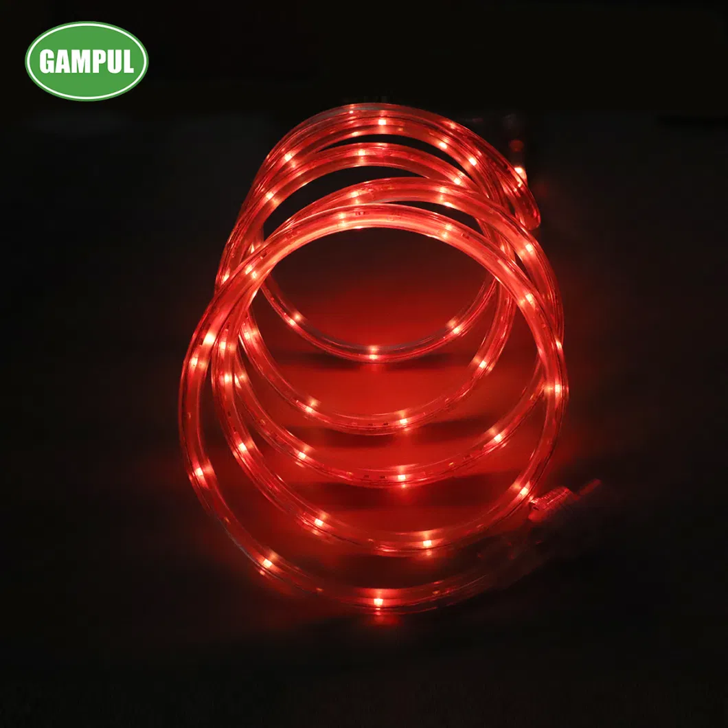 China Manufacturer 24 FT. Indoor or Outdoor LED RGB Accent Lighting Rope Light / LED Christmas Decoration Lighting