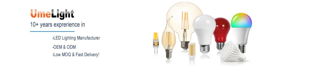 A19 A60 LED Lamp Clear Filament Light Bulb 9W 5000K Daylight &IEcy; 27 for Decoration Lighting Transparent LED Filament Bulb Vintage Edison Lamp