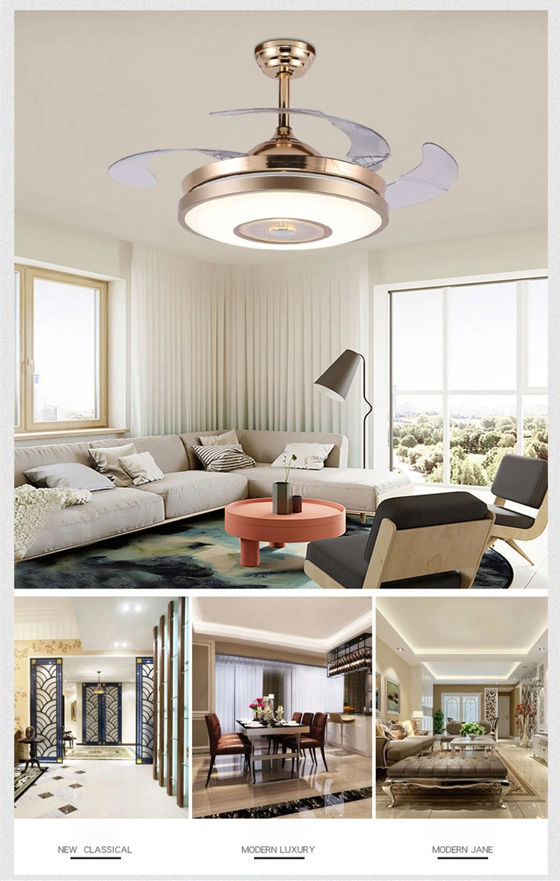 Modern Minimalist Interior Light Bedroom Dining Room LED Ceiling Fan