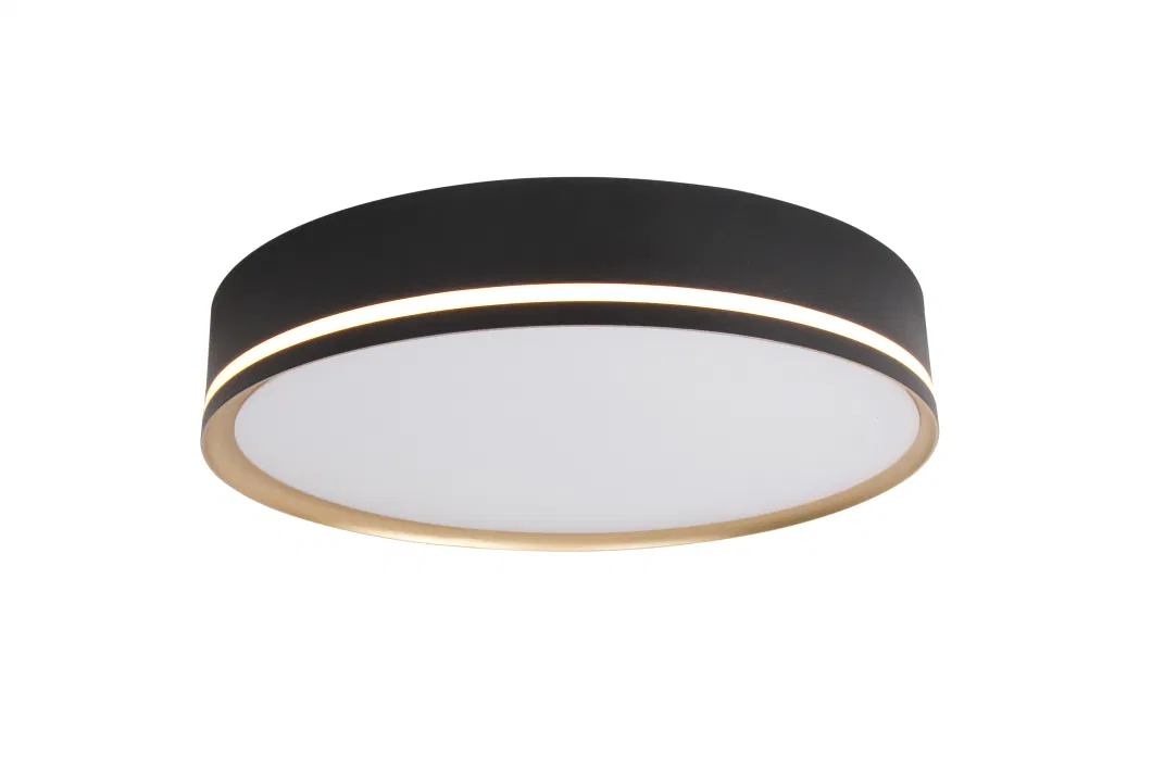 Masivel Lighting Indoor Modern LED Ceiling Light Modern Stylist LED Home Lighting