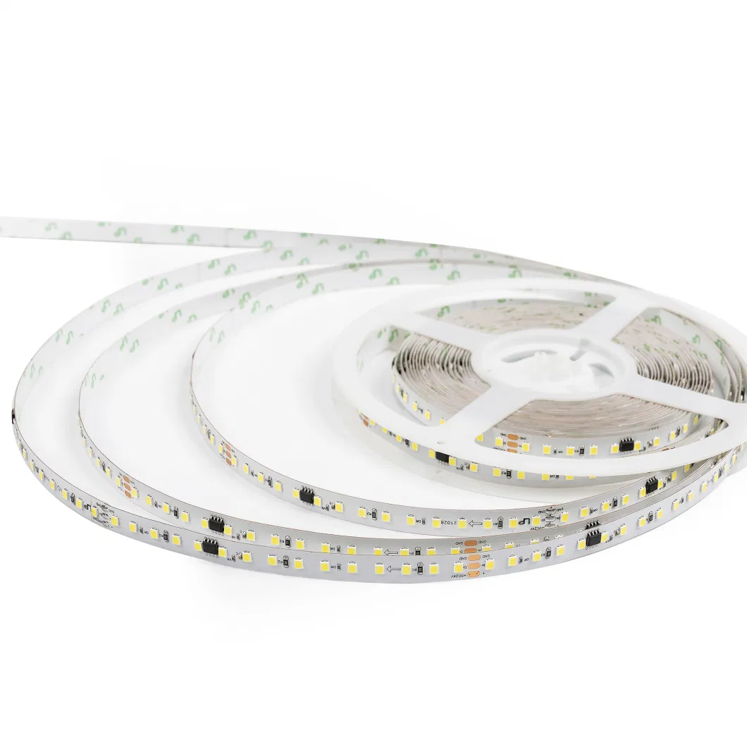 2022 New No Voltage Drop Project Flexible LED Strips 12V/24V LED Strips Lighting