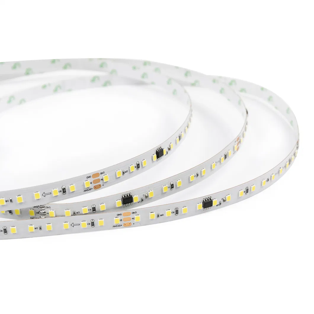2022 New No Voltage Drop Project Flexible LED Strips 12V/24V LED Strips Lighting
