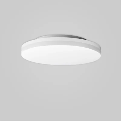  220V 260d 20W/40W Luz de techo LED para interiores moderna lámpara de techo