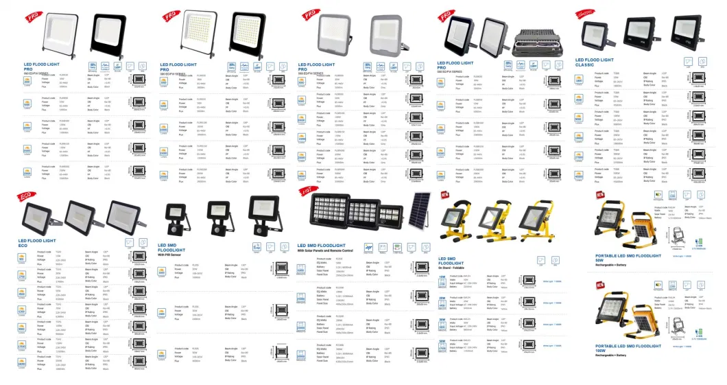 LED Flood Light SMD Outdoor 20W 50W 70W 100W CE RoHS LVD