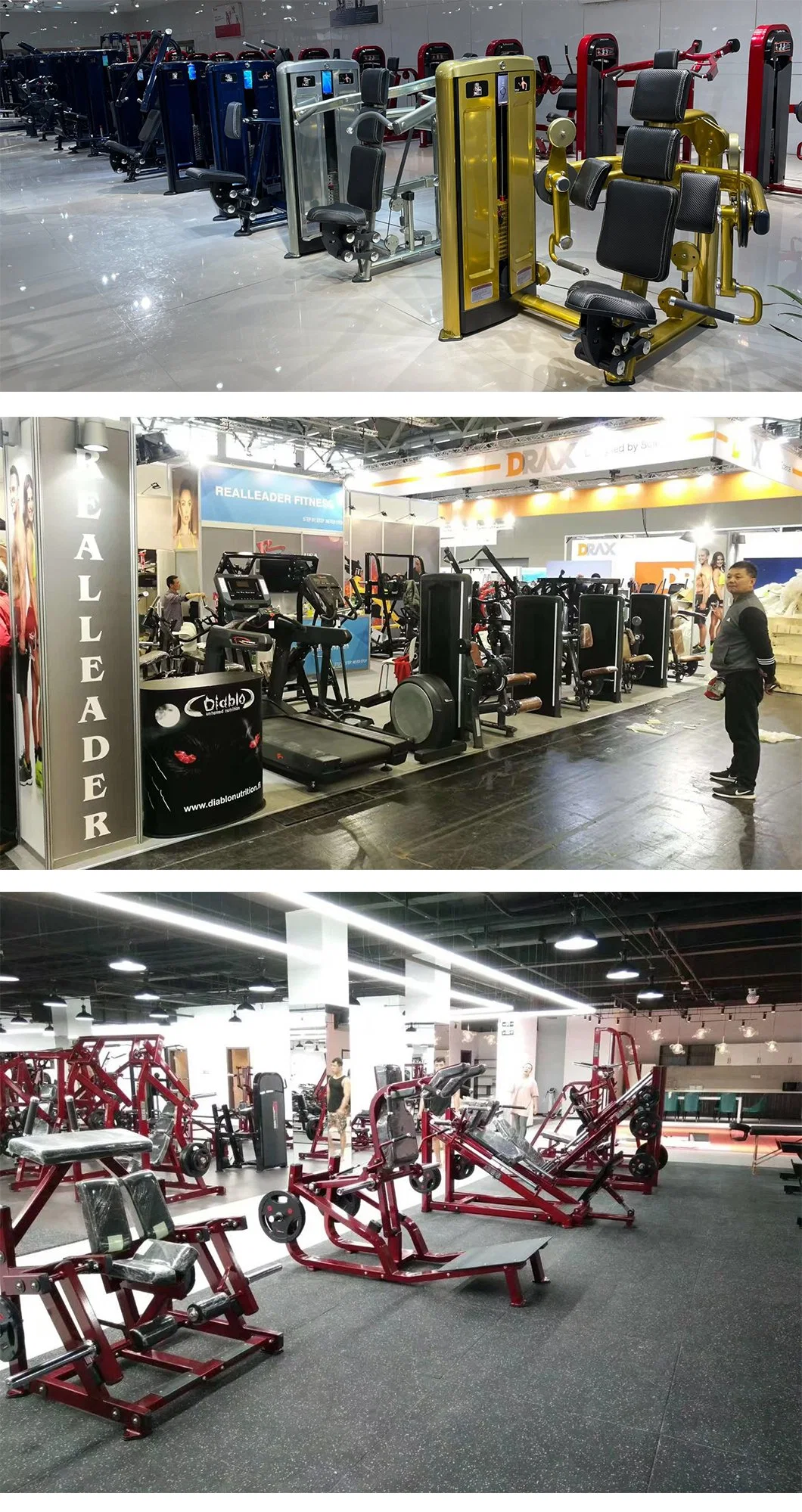 Realleader Muscle Gym Equipment Factory Re-6600u