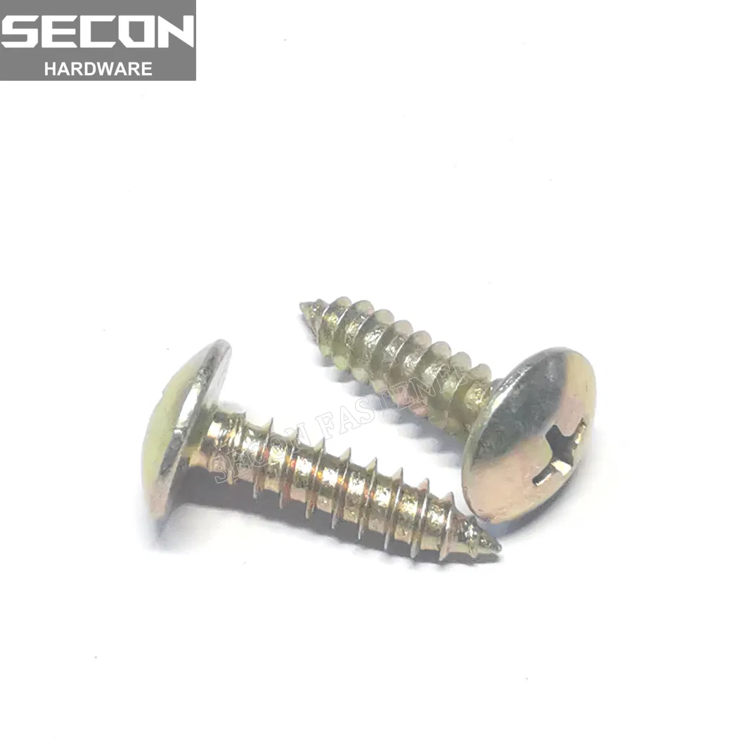2022 Hot Sale C1022 SS316 304 410 Zinc Plated / Nickel Self-Tapping Screw China Factory Self Tapping Screw Wafer Head Sharp Point
