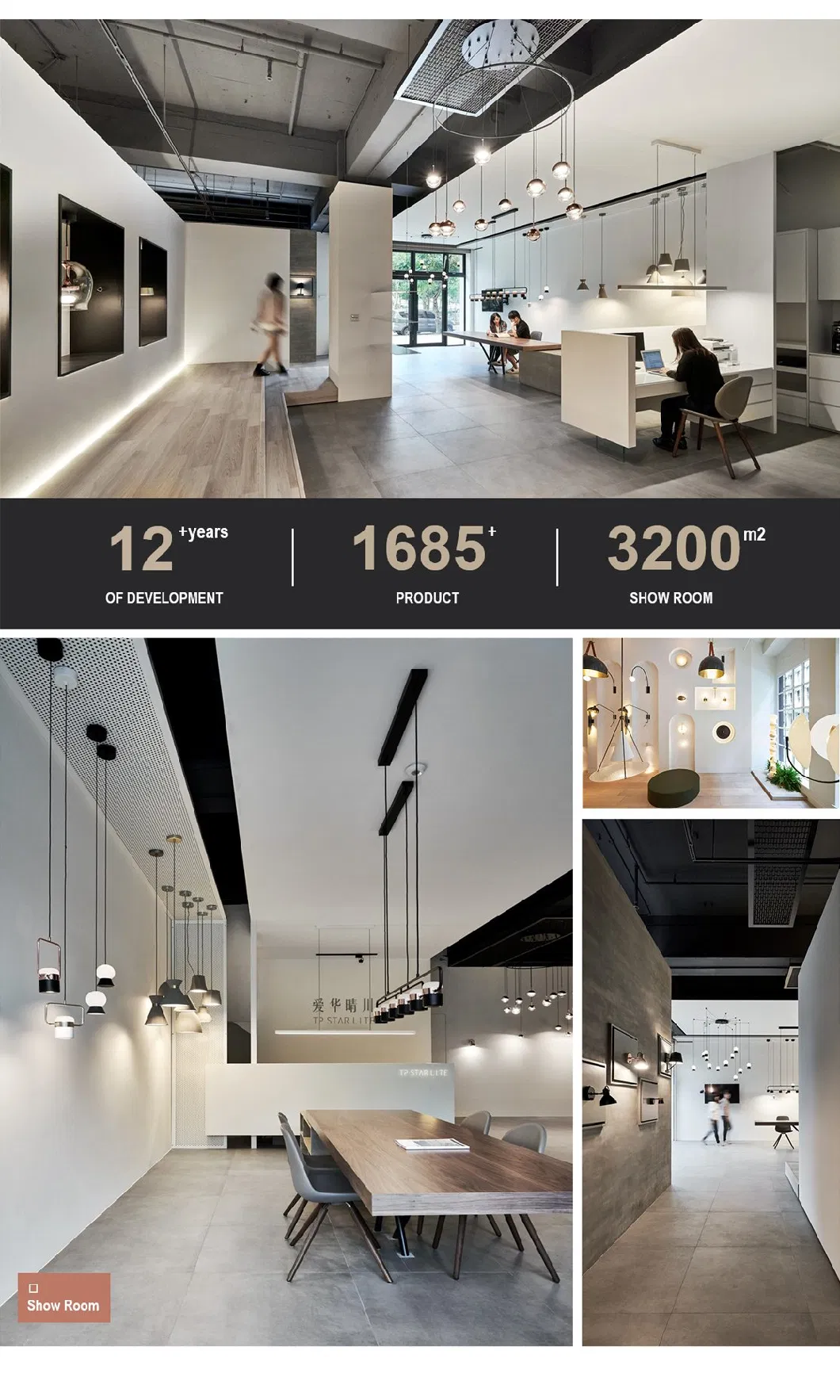 2023 China Wholesale Tpstar LED Indoor Northern Europe Modern Industrial Kitchen Restaurant Ceiling Hanging Pendant Light