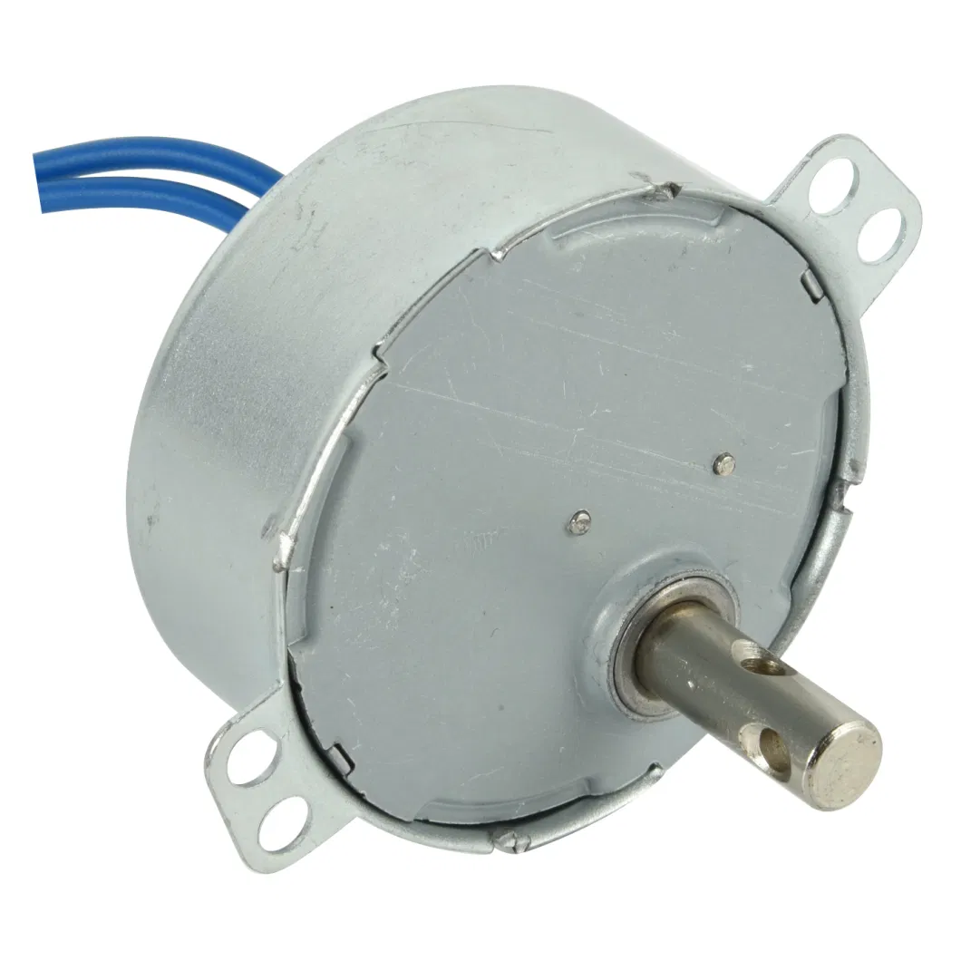 8rpm 20.5mm Thick 49tyj-C Synchronous Motor with Plastic Shaft