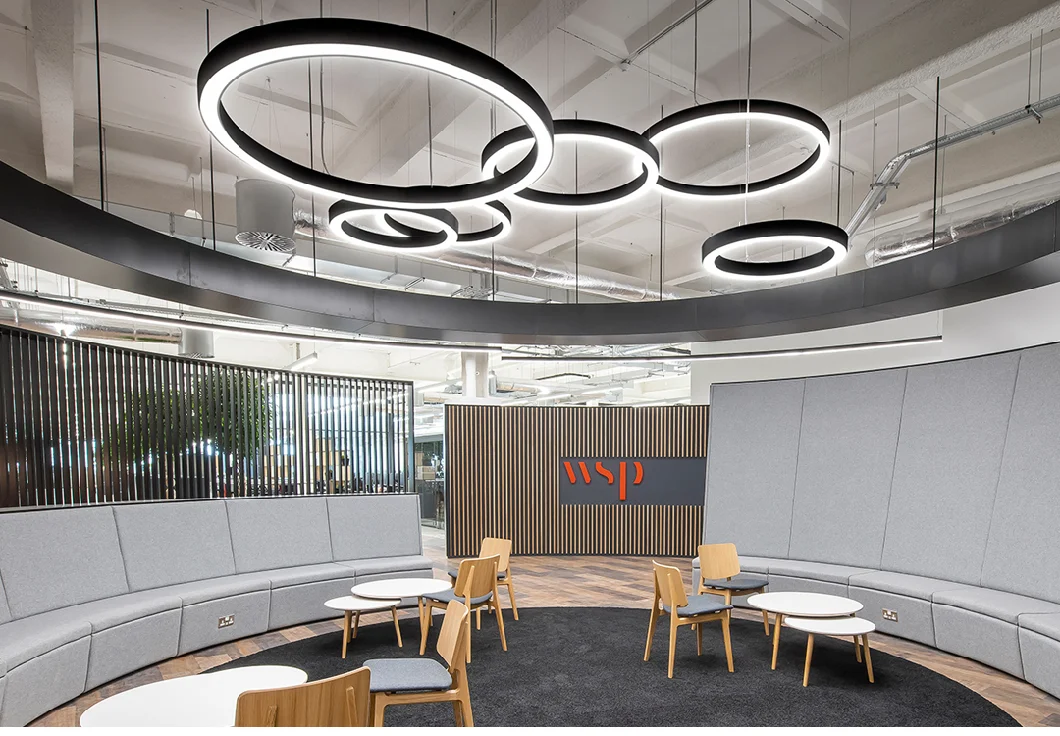 Modern Pendant Lamp LED Rings Circle Ceiling Hanging Chandelier Black Living Dining Room Kitchen Indoor Lighting Fixture