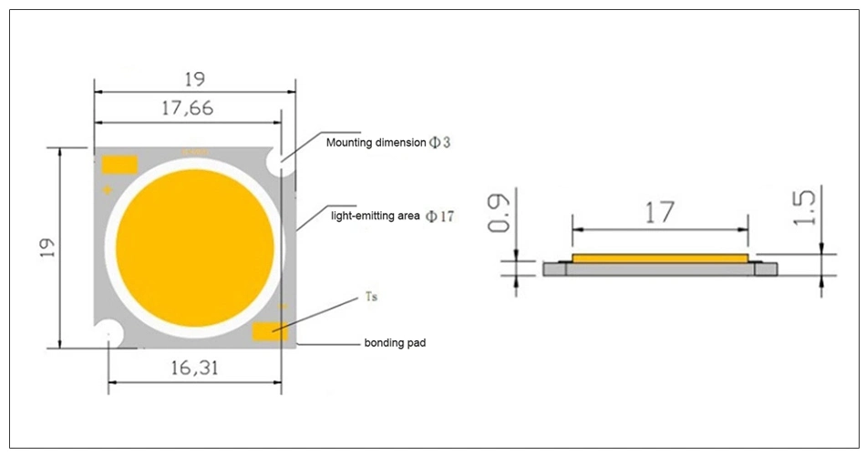 High Power 12W 20W 30W 36W 50W 19*19mm Warm White COB LED Chip LED Diode