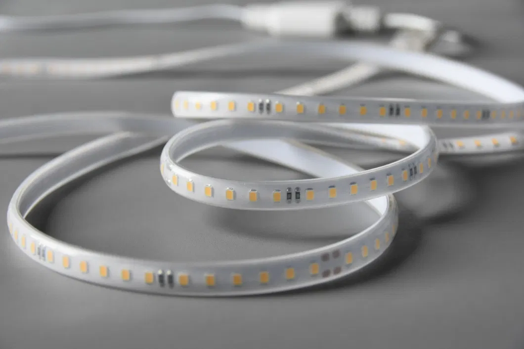 220V waterproof Strip SMD2835 120d Flex/Rope Light LED Strip Light