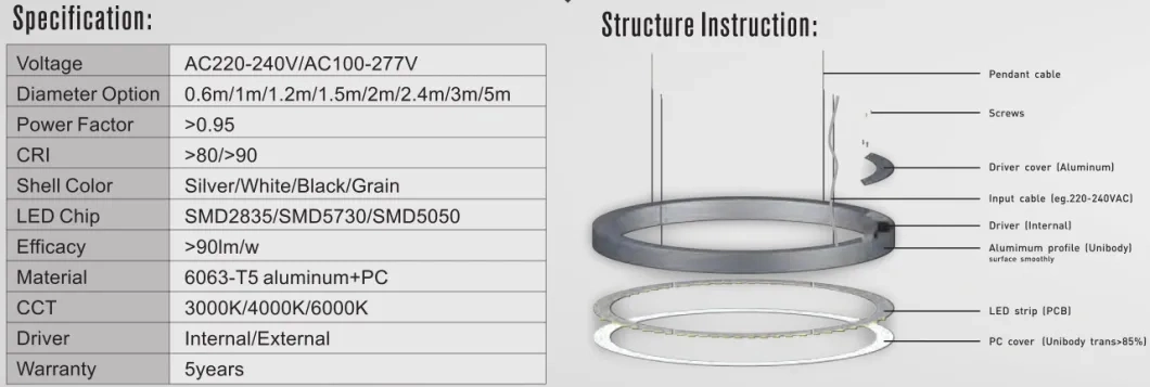 LC6060-1.2m Aluminum Profile LED Circular Pendant Light Ceiling Suspended Ring Light for Office Lighting