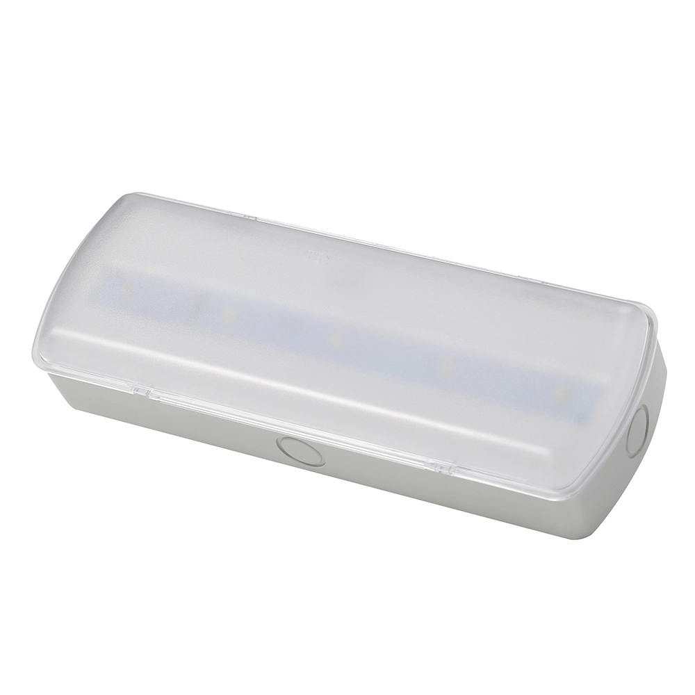Wall Surface Mounted Built-in Battery Rechargeable LED Emergency Lighting